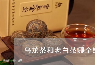 乌龙茶和老白茶哪个好一点/2023033125267