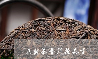 乌龙茶普洱投茶量/2023032998402