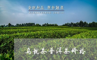 乌龙茶普洱茶价格/2023031634736