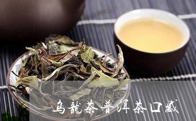 乌龙茶普洱茶口感/2023041147381