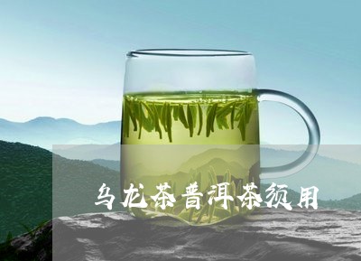 乌龙茶普洱茶须用/2023031653837