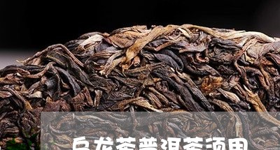 乌龙茶普洱茶须用/2023041150372