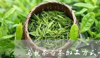 乌龙茶白茶加工方式一样吗/2023033173148