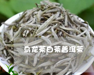 乌龙茶白茶普洱茶/2023041181837