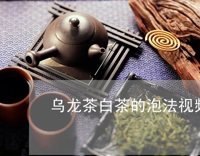 乌龙茶白茶的泡法视频讲解/2023033100481