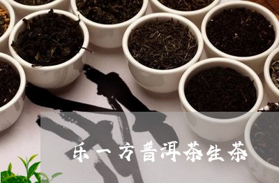 乐一方普洱茶生茶/2023040165038