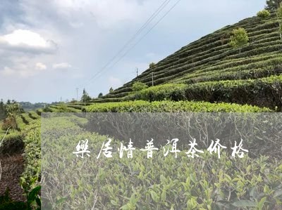 乐居情普洱茶价格/2023033169792