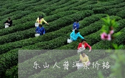 乐山人普洱茶价格/2023041054238