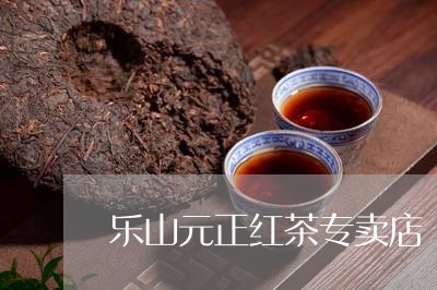 乐山元正红茶专卖店/2023031932615