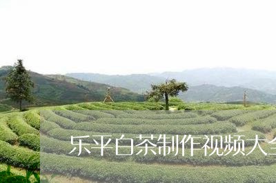 乐平白茶制作视频大全图片/2023033195071