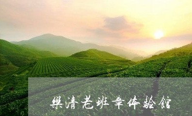 乐清老班章体验馆/2023032871715