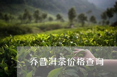 乔普洱茶价格查询/2023041092916