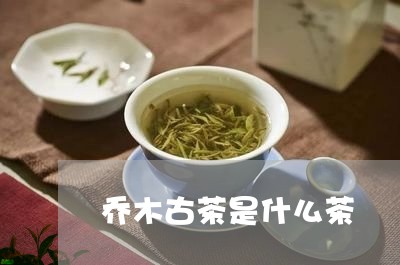 乔木古茶是什么茶/2023041404938