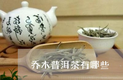 乔木普洱茶有哪些/2023041447051