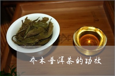 乔木普洱茶的功效/2023041376050