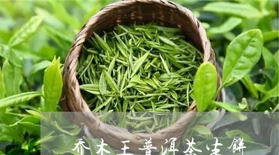 乔木王普洱茶生饼/2023031651724