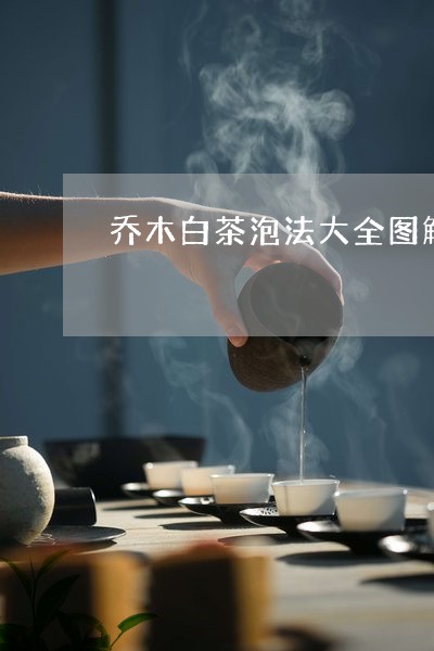 乔木白茶泡法大全图解窍门/2023033121603