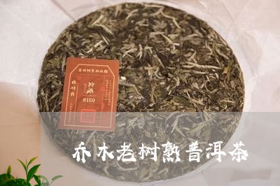 乔木老树熟普洱茶/2023041039596