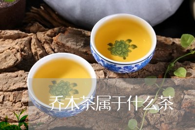 乔木茶属于什么茶/2023031821837