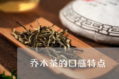 乔木茶的口感特点/2023041350694