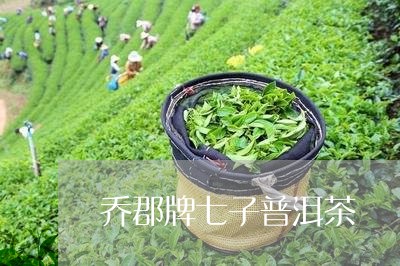 乔郡牌七子普洱茶/2023033104938