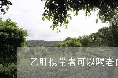 乙肝携带者可以喝老白茶吗/2023033194027