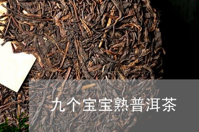 九个宝宝熟普洱茶/2023032989250