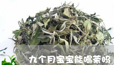 九个月宝宝能喝茶吗/2023041653693