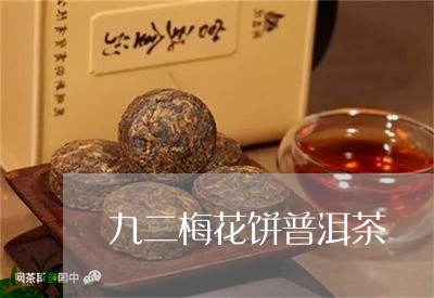 九二梅花饼普洱茶/2023041029595