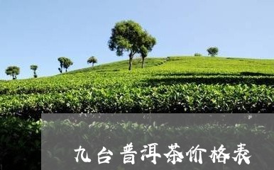 九台普洱茶价格表/2023033050596