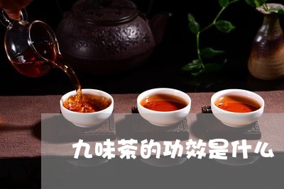 九味茶的功效是什么/2023041696381