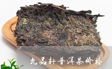 九品轩普洱茶价格/2023033199415