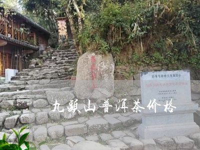 九头山普洱茶价格/2023041191615