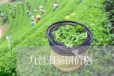 九普洱茶饼价格/2023040188472