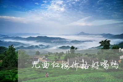 九曲红梅价格好喝吗/2023032170926