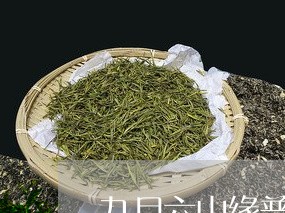 九月六山缘普洱茶/2023033096050