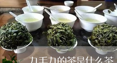 九毛九的茶是什么茶/2023041593836