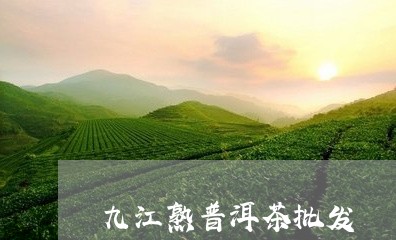 九江熟普洱茶批发/2023033144136