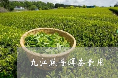 九江熟普洱茶费用/2023031635261