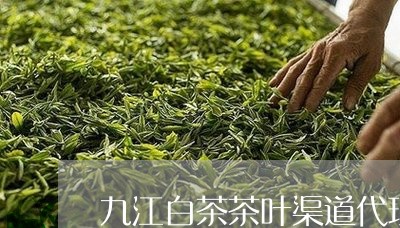 九江白茶茶叶渠道代理条件/2023033183039