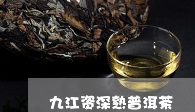 九江资深熟普洱茶/2023033199706