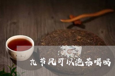 九节风可以泡茶喝吗/2023032004026