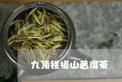 九顶铁槎山普洱茶/2023033109593