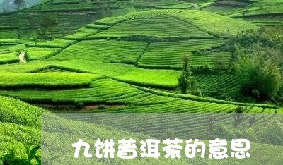 九饼普洱茶的意思/2023031663938