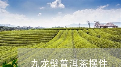 九龙壁普洱茶摆件/2023033038571