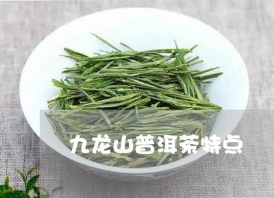 九龙山普洱茶特点/2023033125159