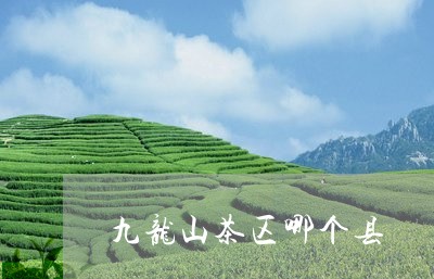 九龙山茶区哪个县/2023032551592