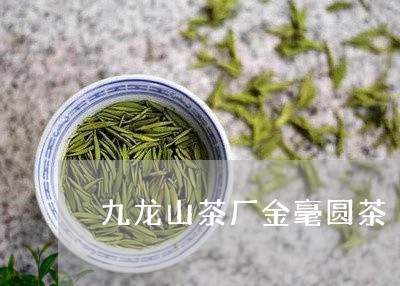 九龙山茶厂金毫圆茶/2023041609592