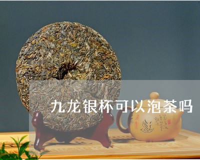 九龙银杯可以泡茶吗/2023041640402