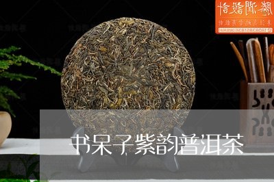 书呆子紫韵普洱茶/2023033191795